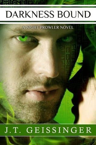Darkness Bound book cover