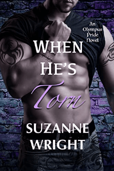 When He’s Torn book cover