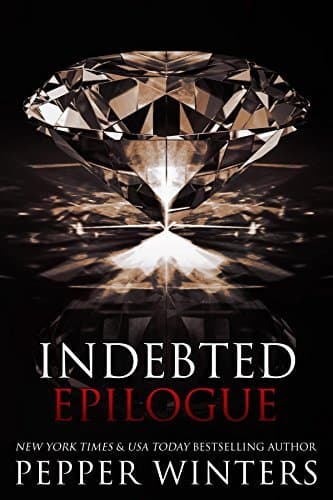 Indebted Epilogue book cover