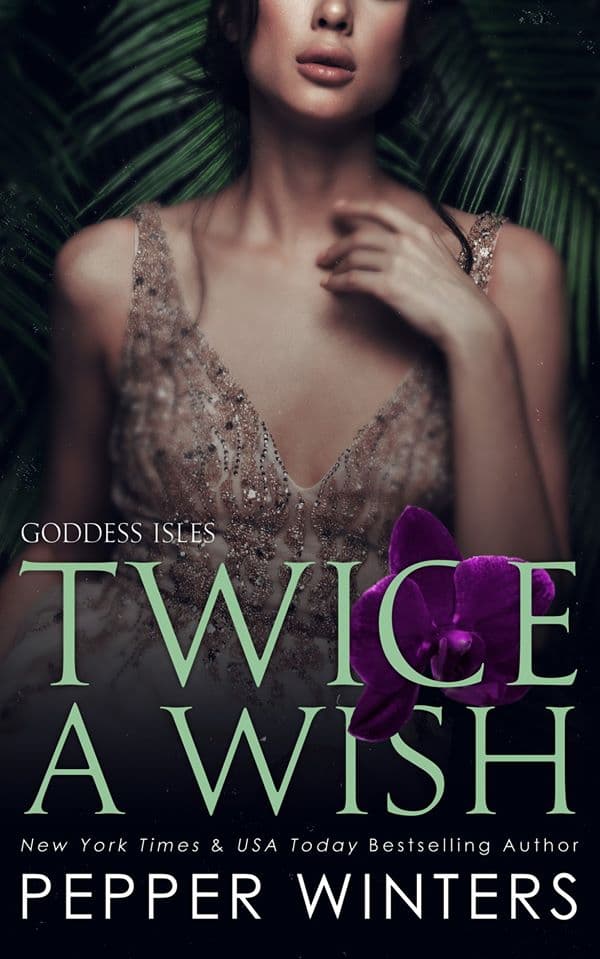 Twice a Wish book cover