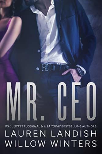 Mr. CEO book cover