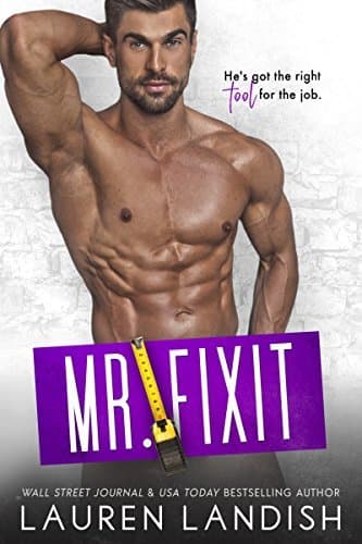 Mr. Fixit book cover