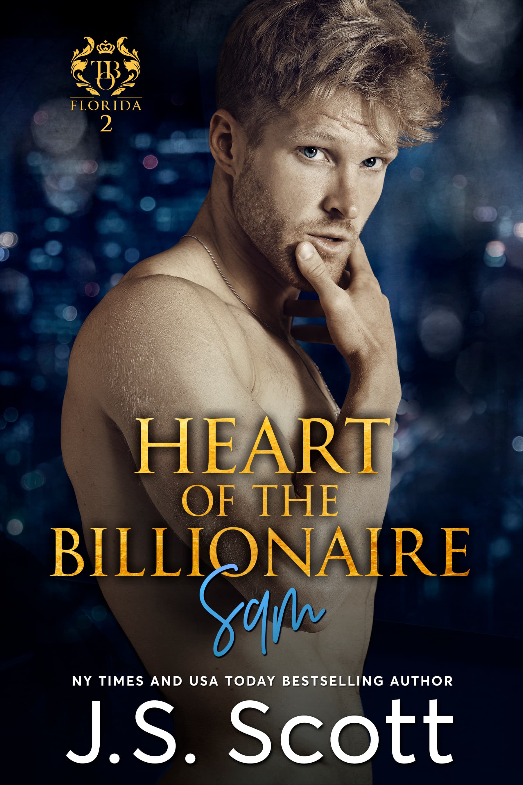 Heart of the Billionaire ~ Sam book cover