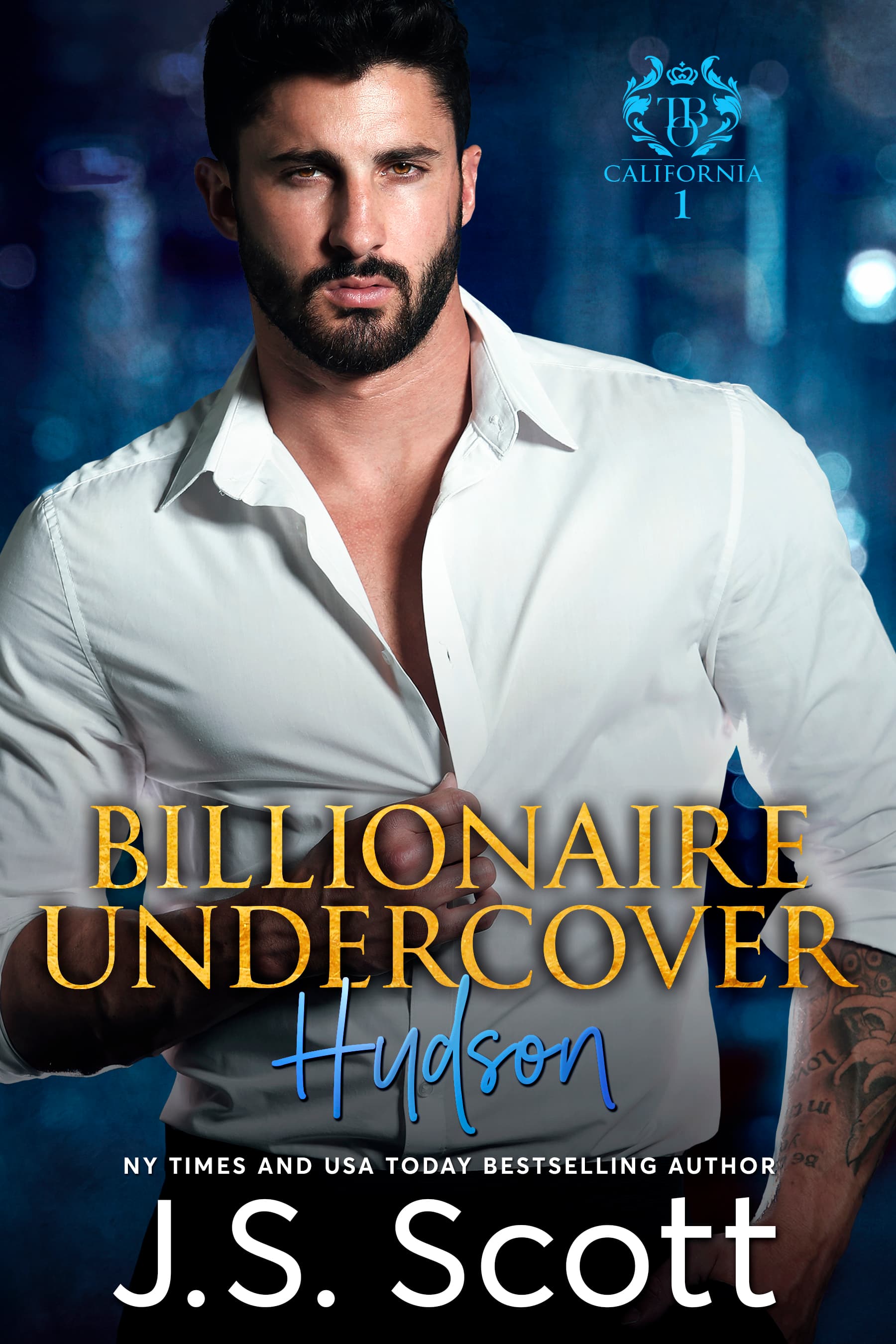 Billionaire Undercover ~ Hudson book cover