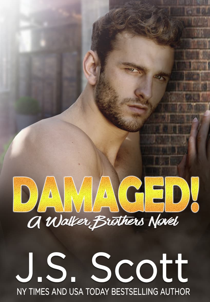 Damaged! book cover