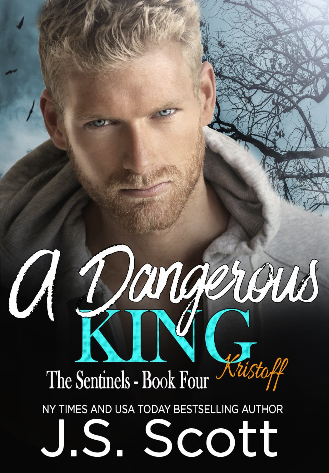 A Dangerous King book cover