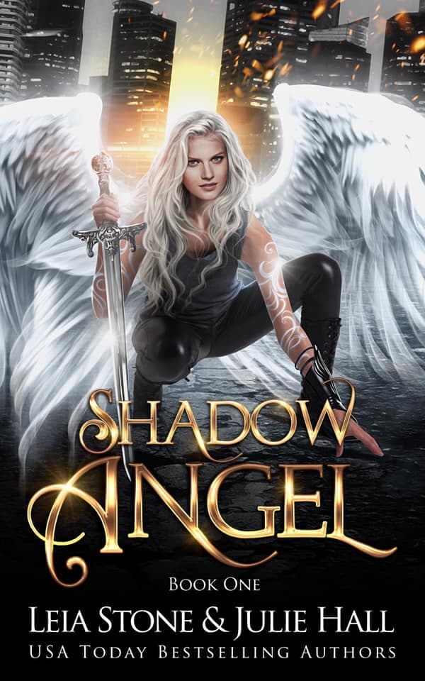 Shadow Angel: Book One book cover