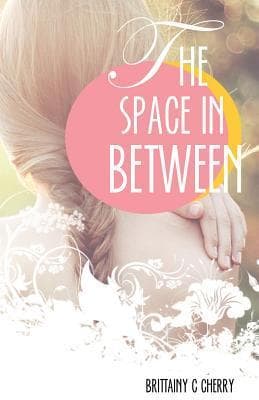 The Space in Between book cover