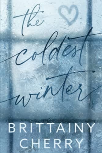 The Coldest Winter book cover