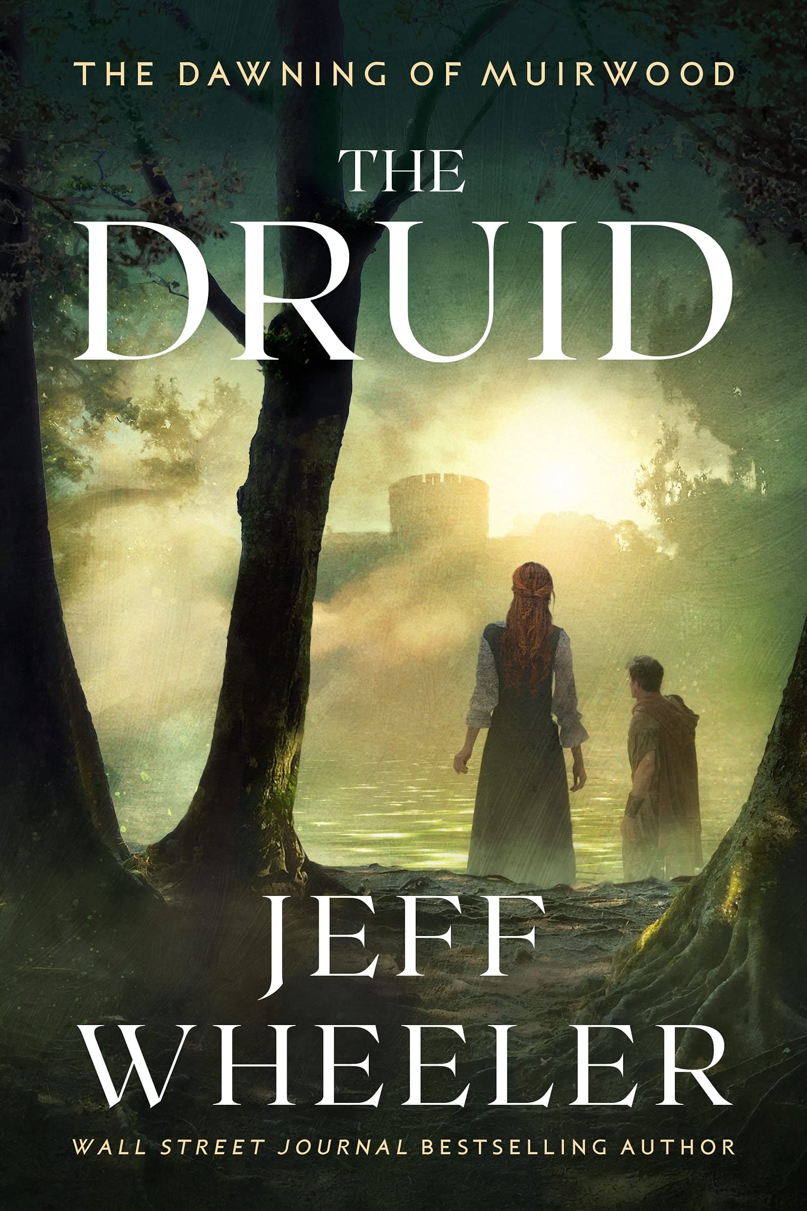 The Druid book cover