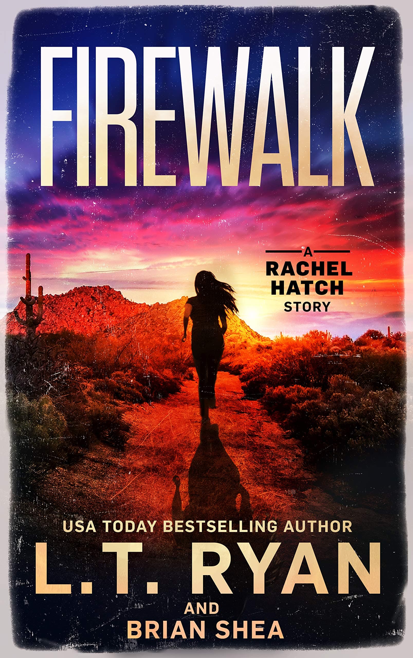 Firewalk book cover