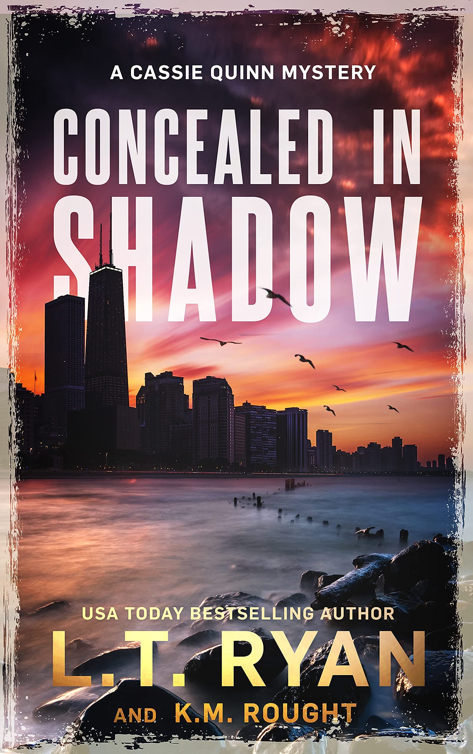 Concealed in Shadow book cover