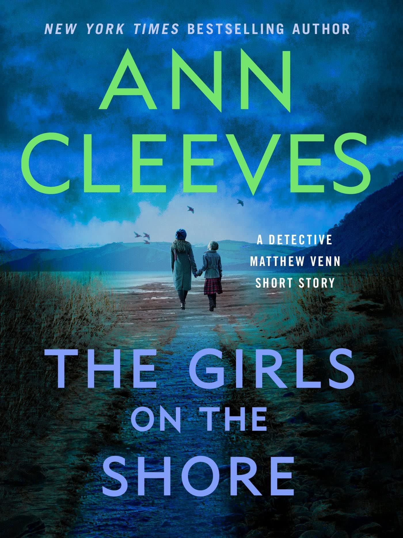 The Girls on the Shore book cover