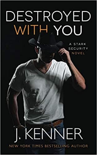 Destroyed With You book cover