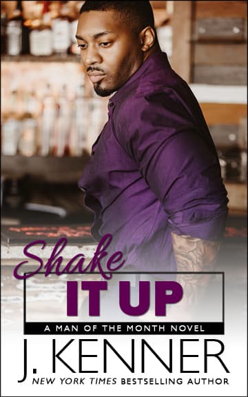 Shake It Up book cover