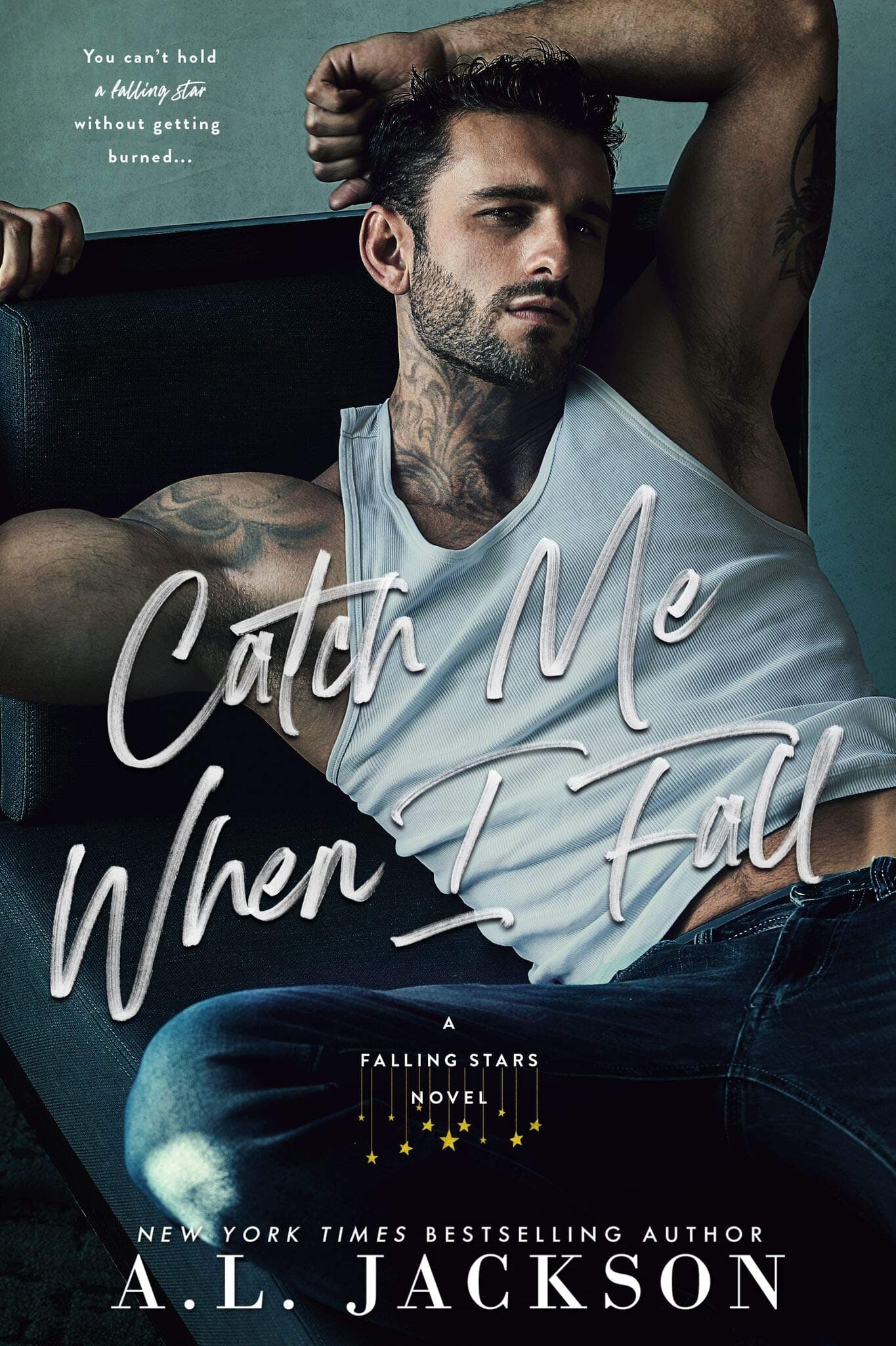 Catch Me When I Fall book cover