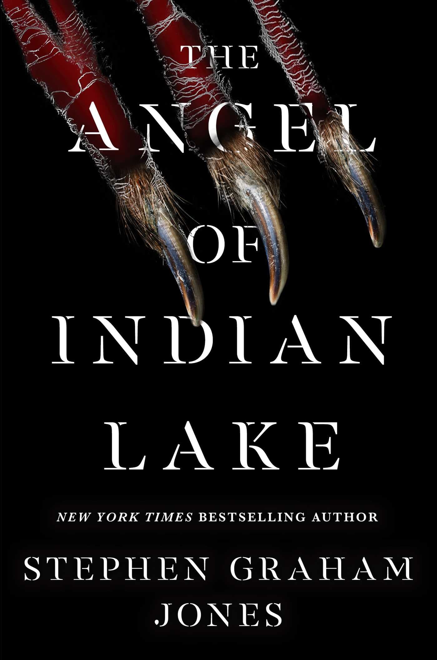 The Angel of Indian Lake book cover