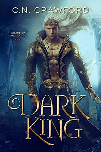 Dark King book cover