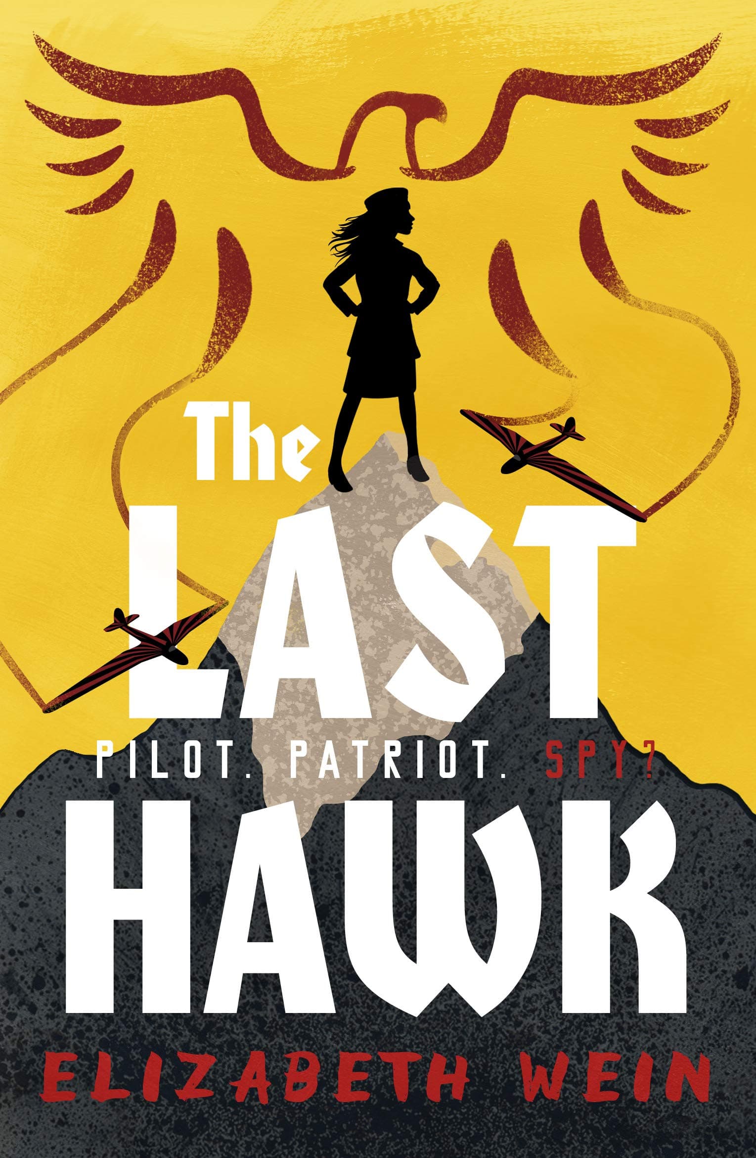 The Last Hawk book cover