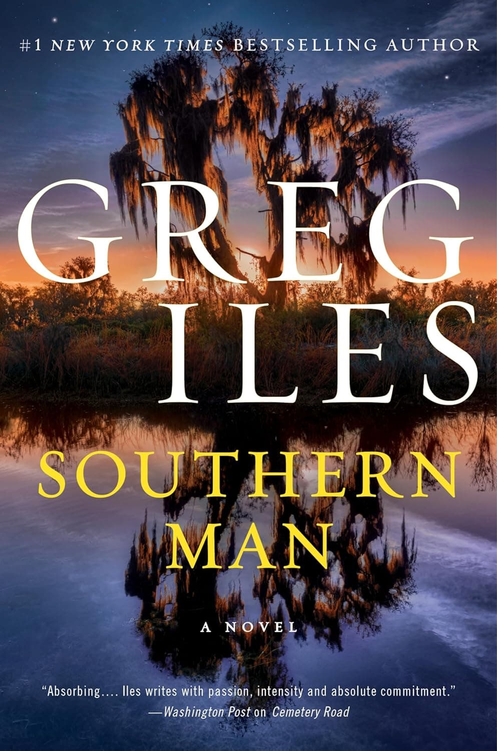 Southern Man book cover