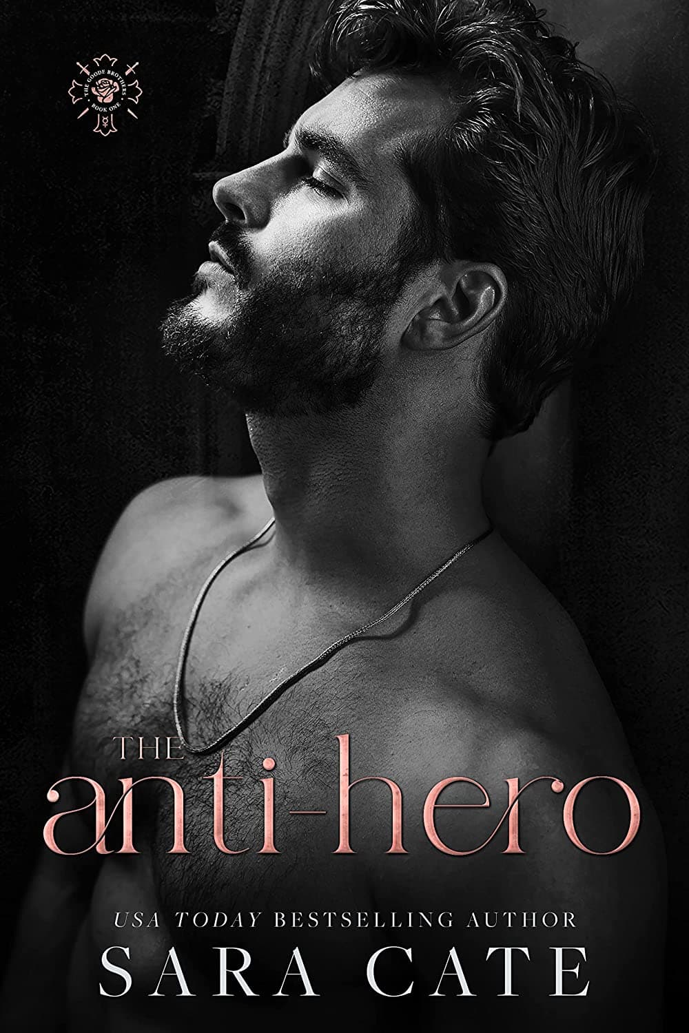 The Anti-Hero book cover