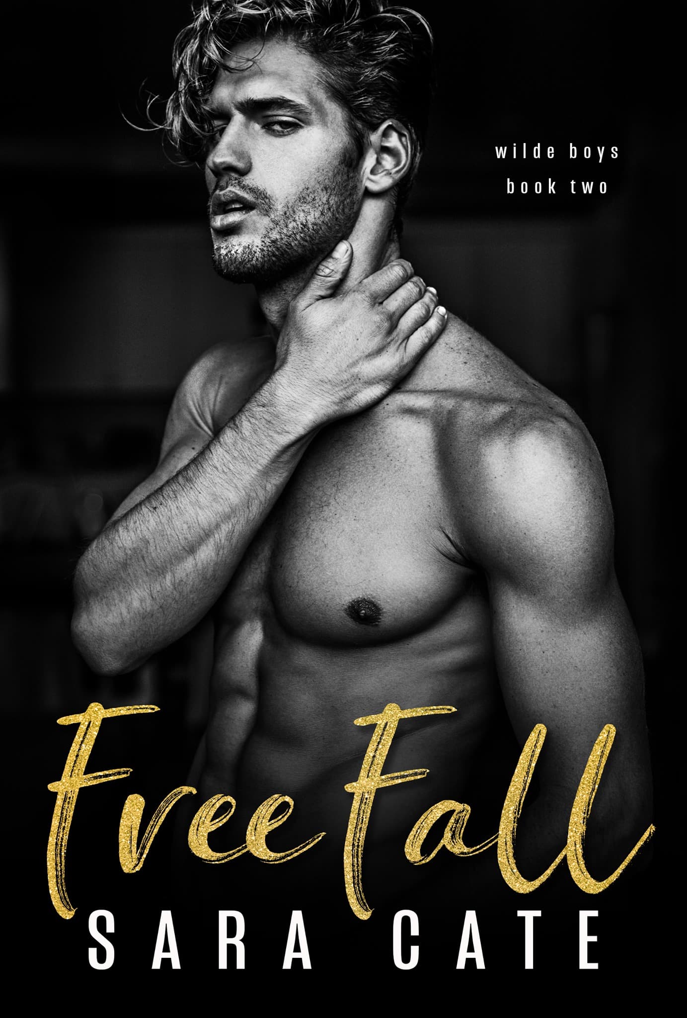 Free Fall book cover