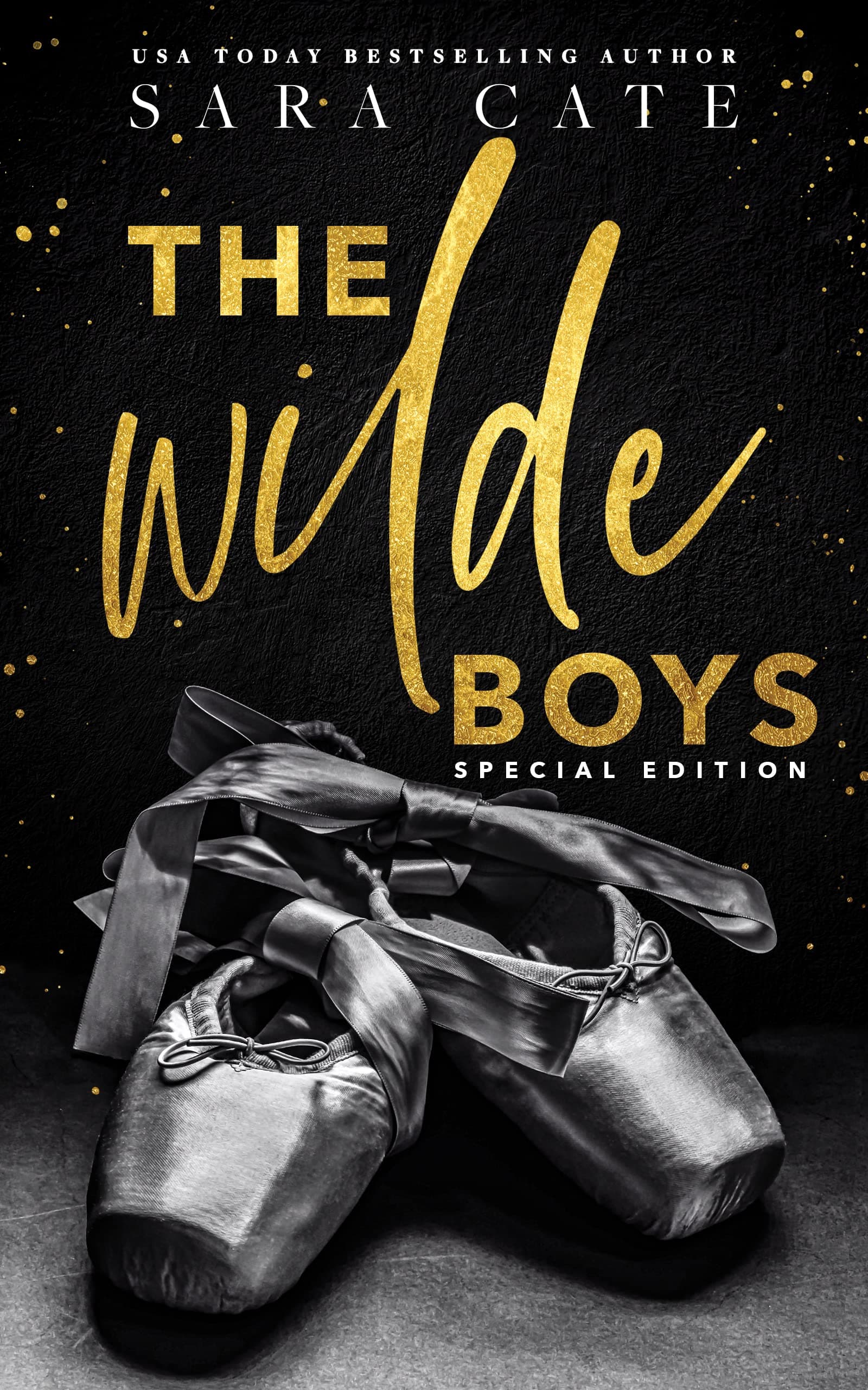 The Wilde Boys book cover