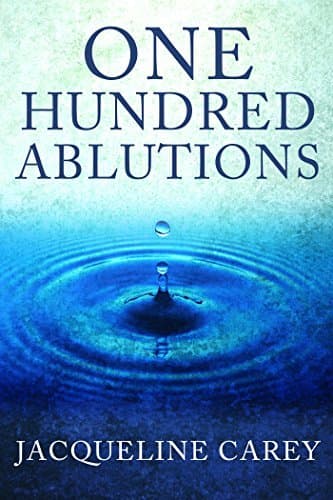 One Hundred Ablutions book cover