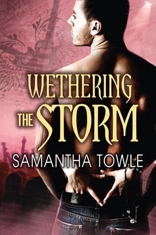 Wethering the Storm book cover