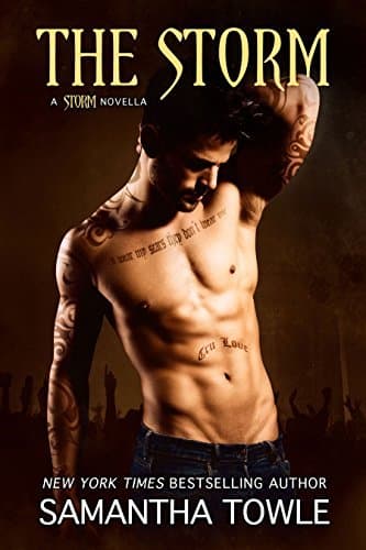 The Storm book cover