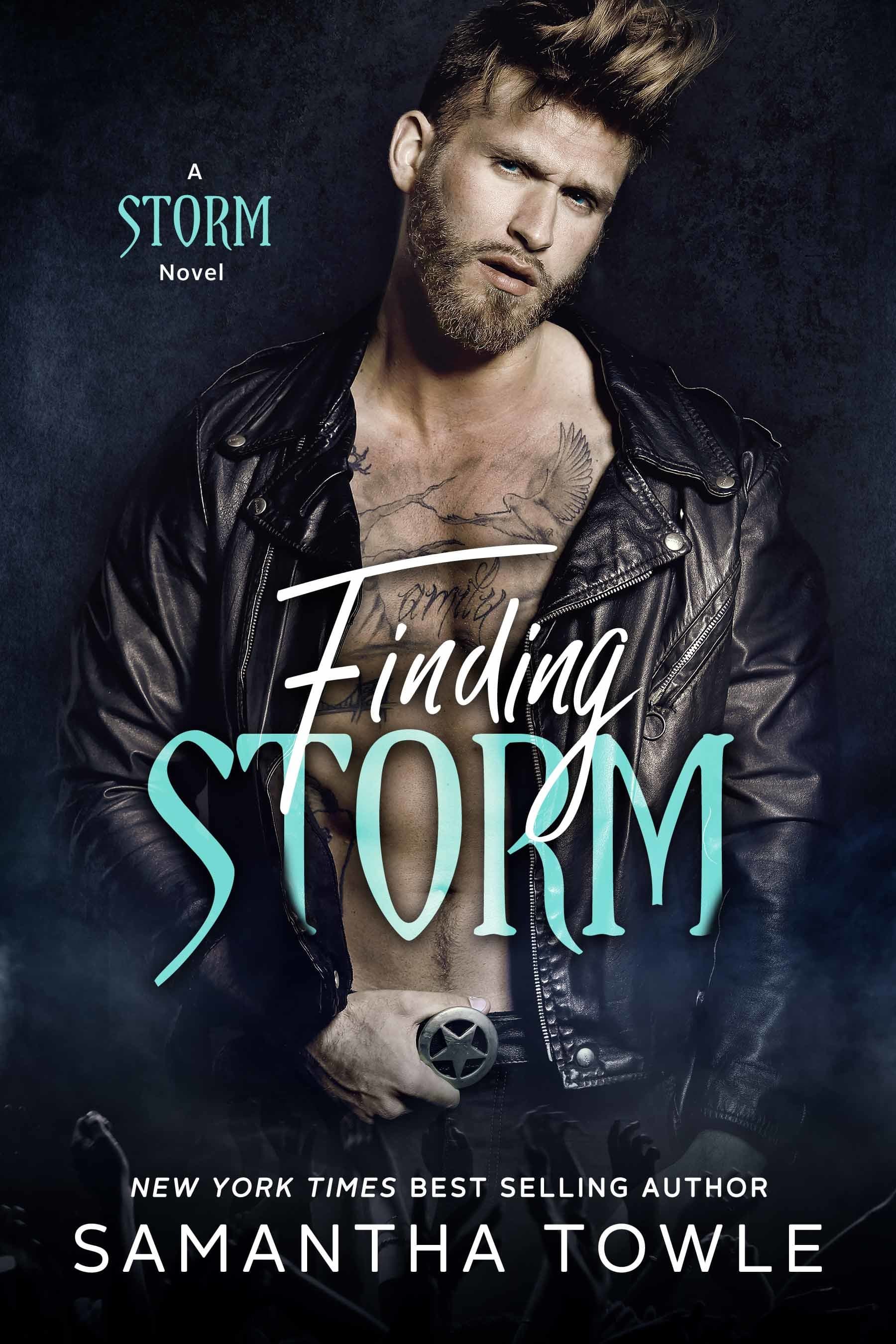 Finding Storm book cover