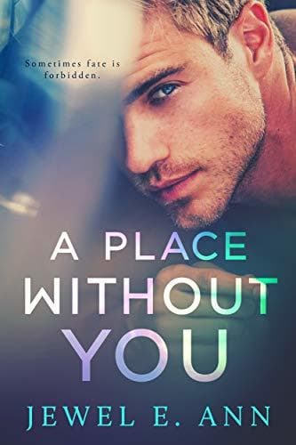A Place Without You book cover