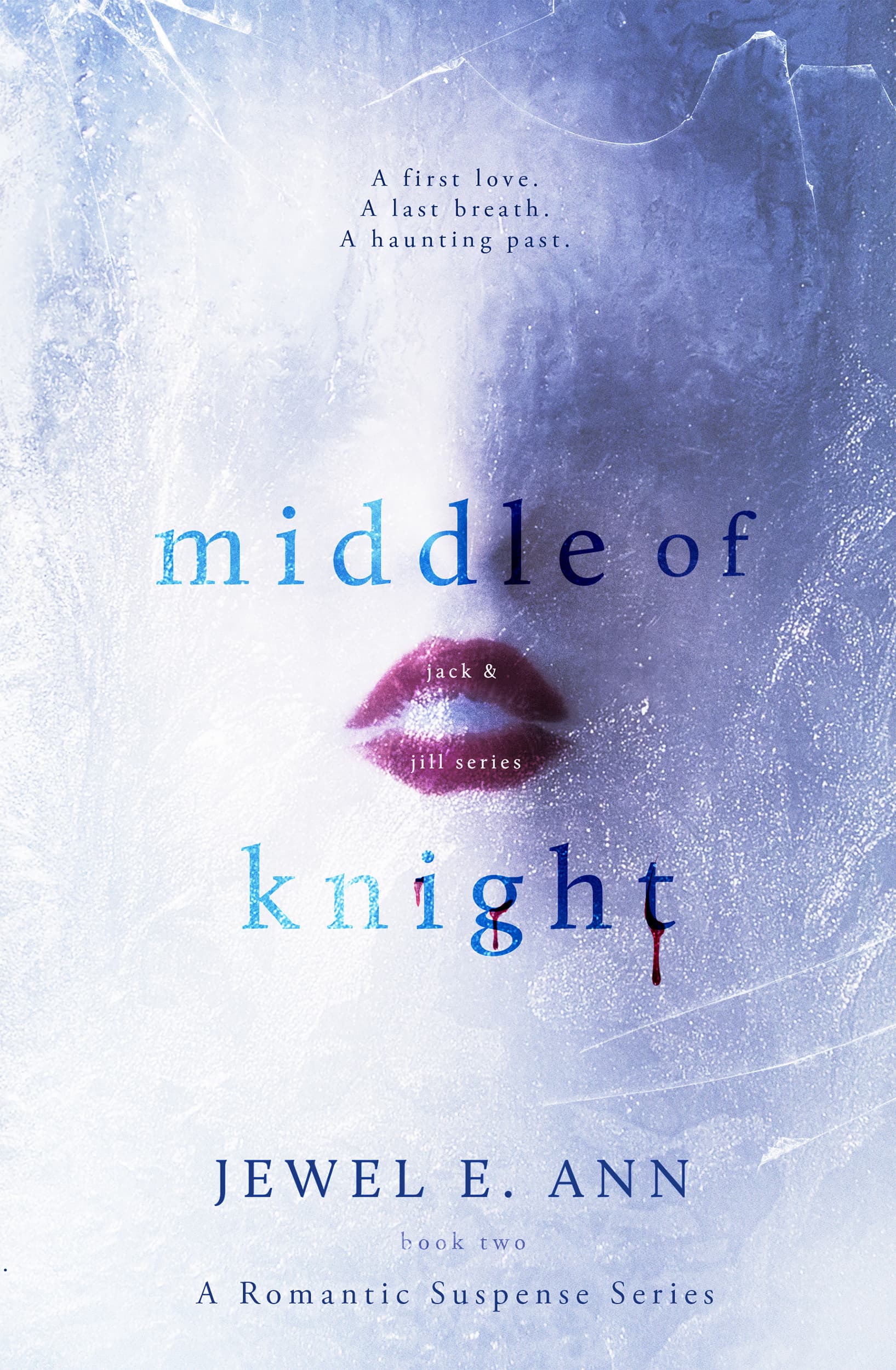 Middle of Knight book cover