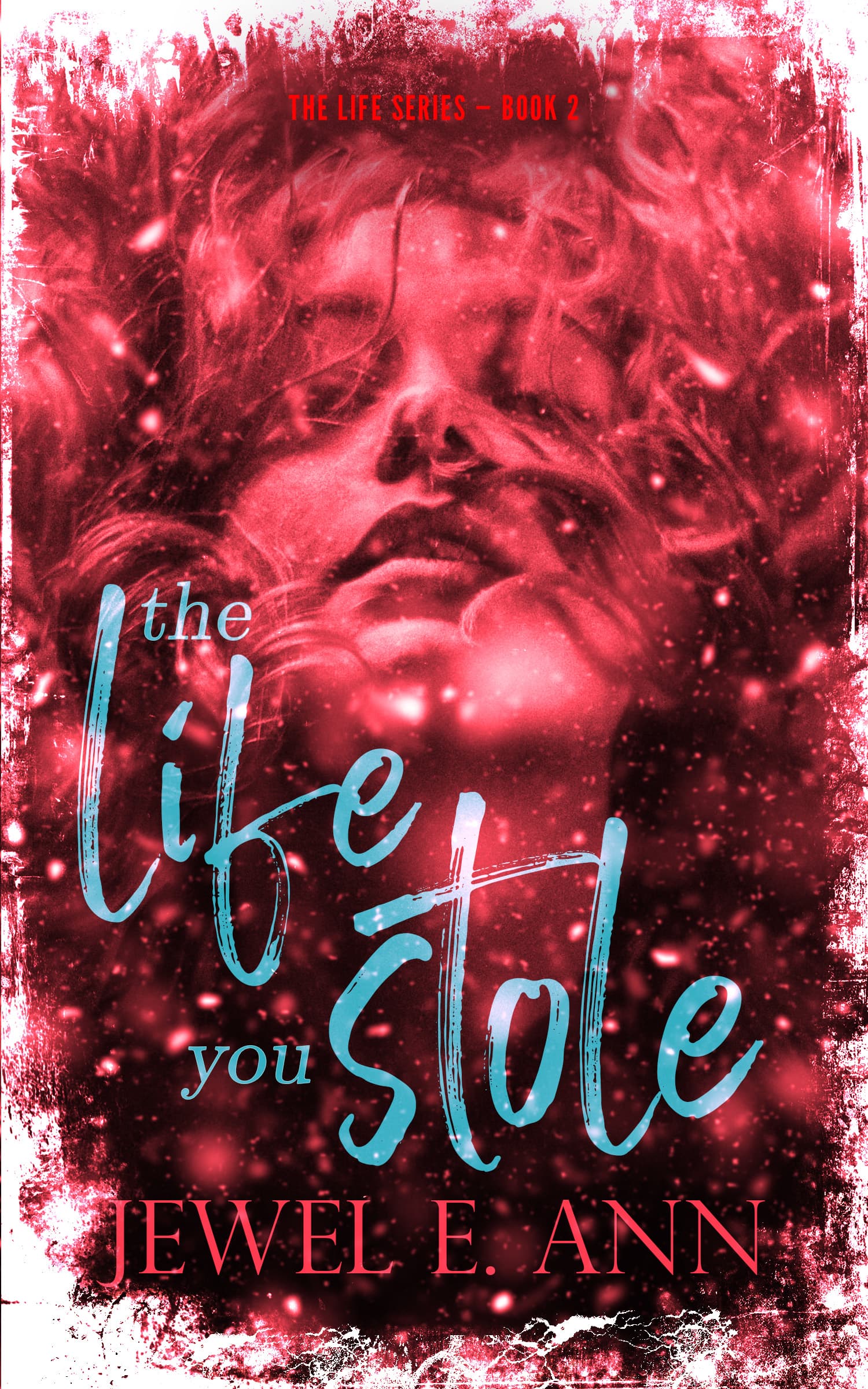 The Life You Stole book cover