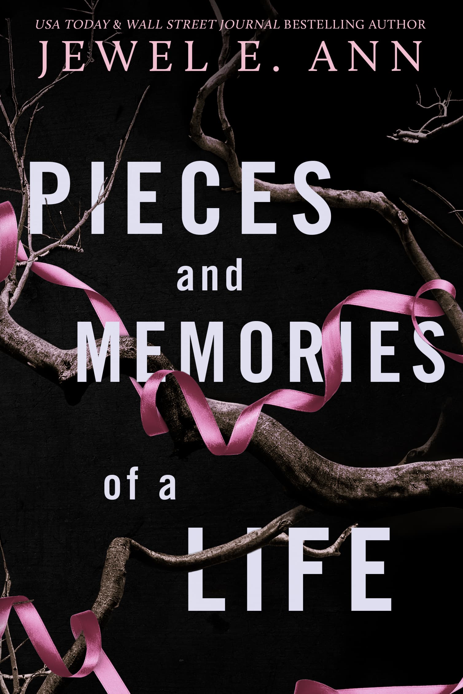 Pieces and Memories of a Life book cover