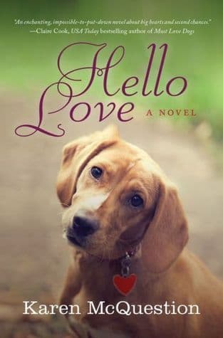 Hello Love book cover