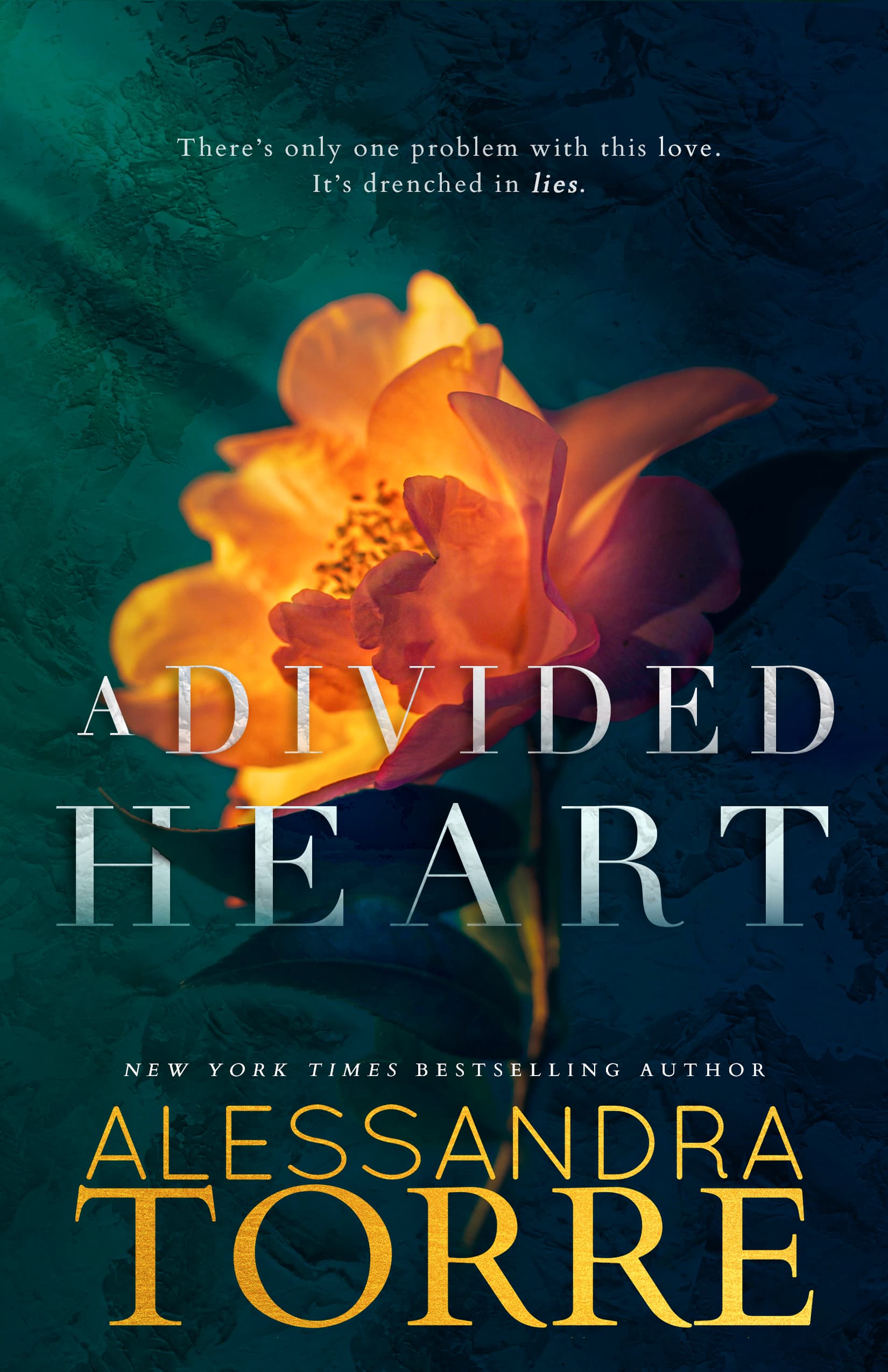 A Divided Heart book cover