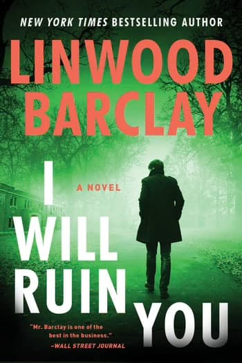 I Will Ruin You book cover