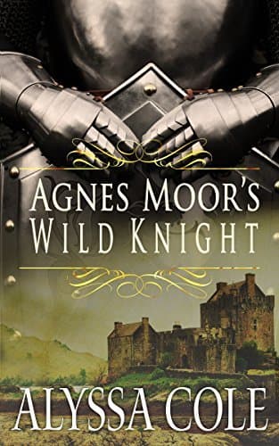 Agnes Moor's Wild Knight book cover