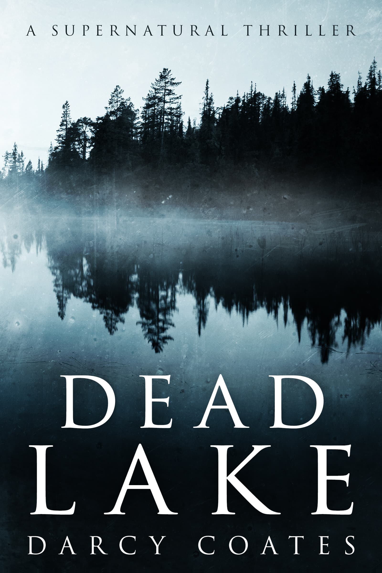 Dead Lake book cover