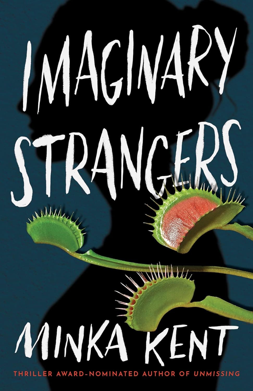 Imaginary Strangers book cover