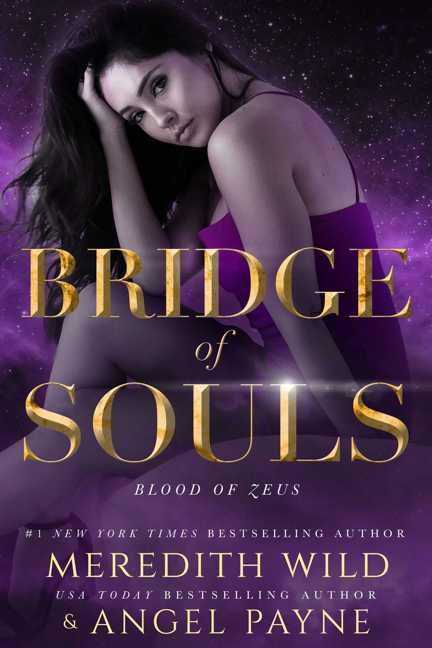 Bridge of Souls book cover