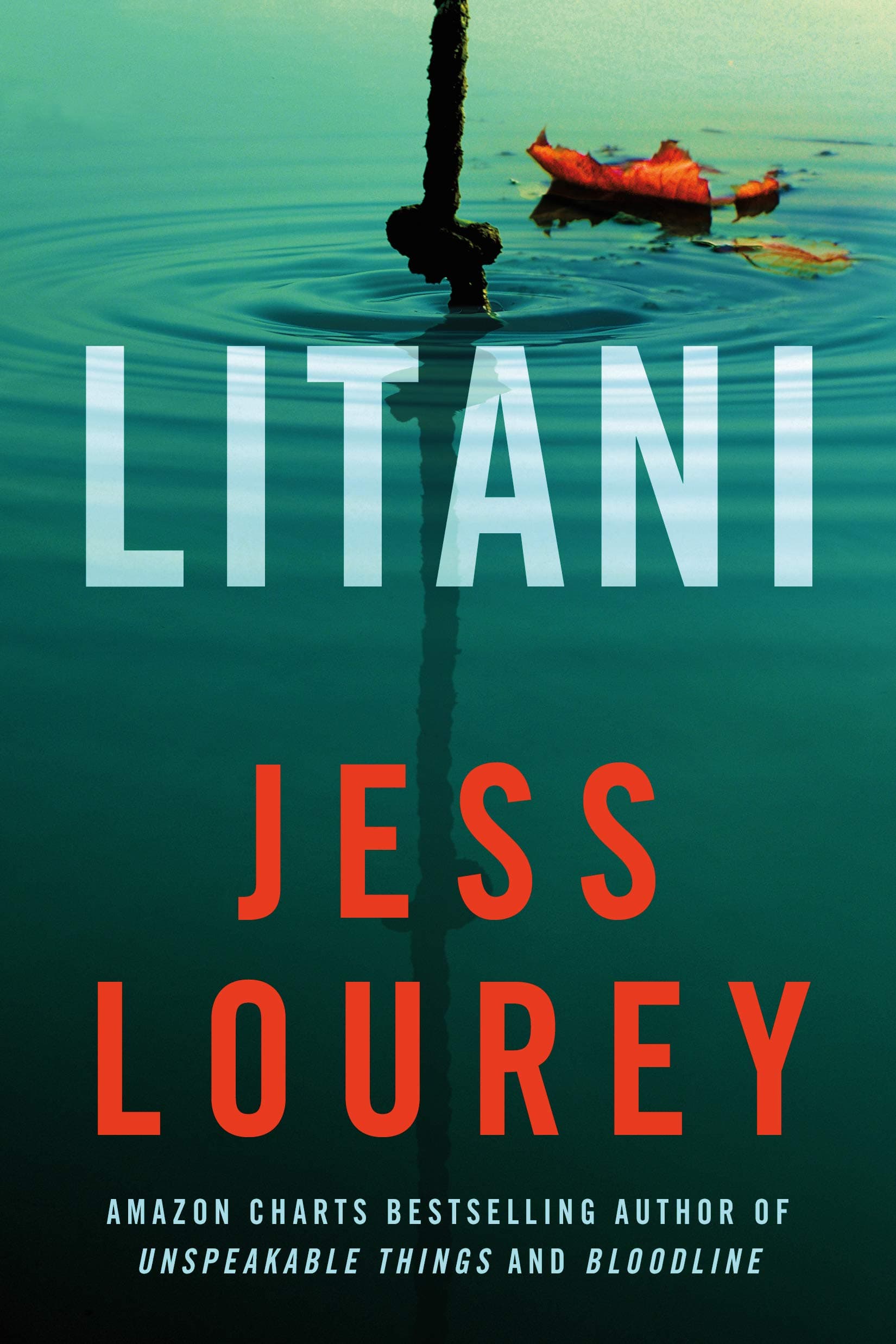Litani book cover
