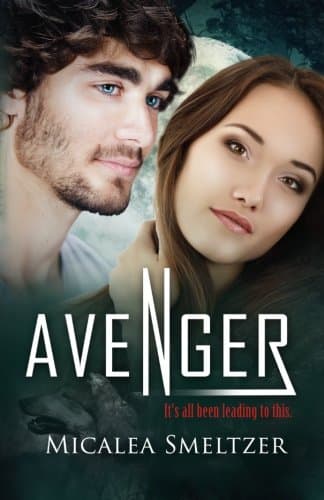 Avenger book cover