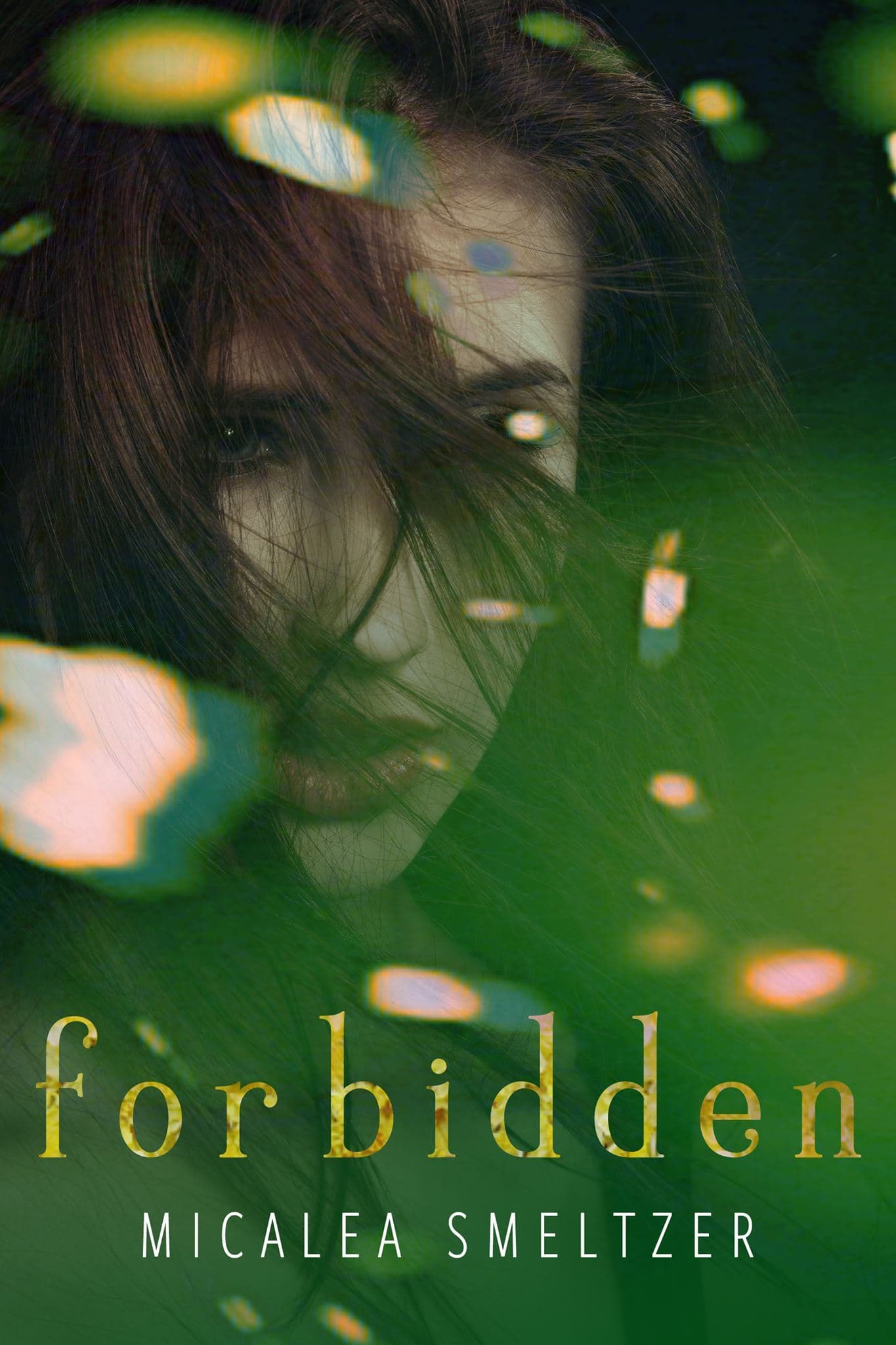 Forbidden book cover