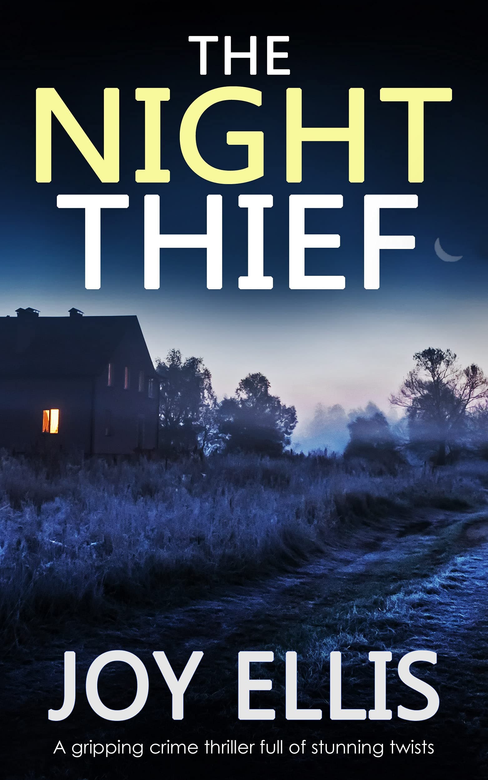 The Night Thief book cover