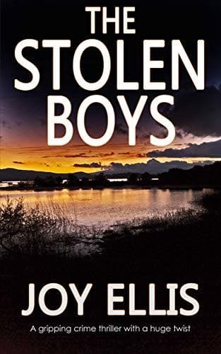 The Stolen Boys book cover