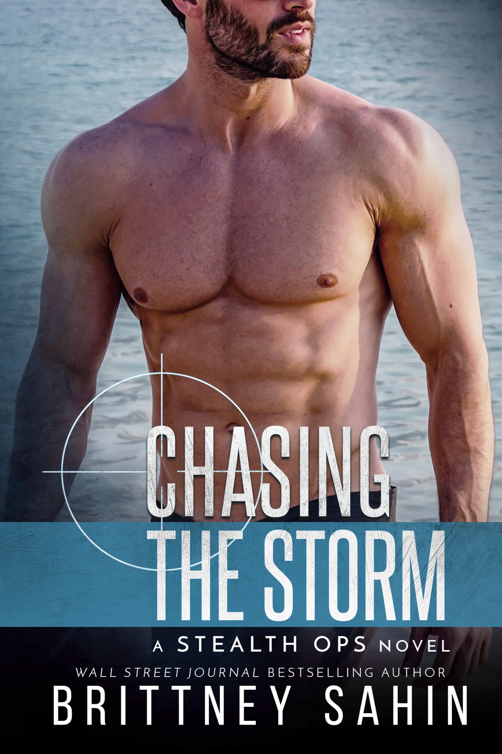 Chasing the Storm book cover