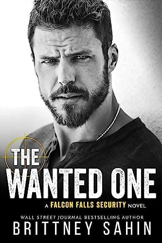 The Wanted One book cover