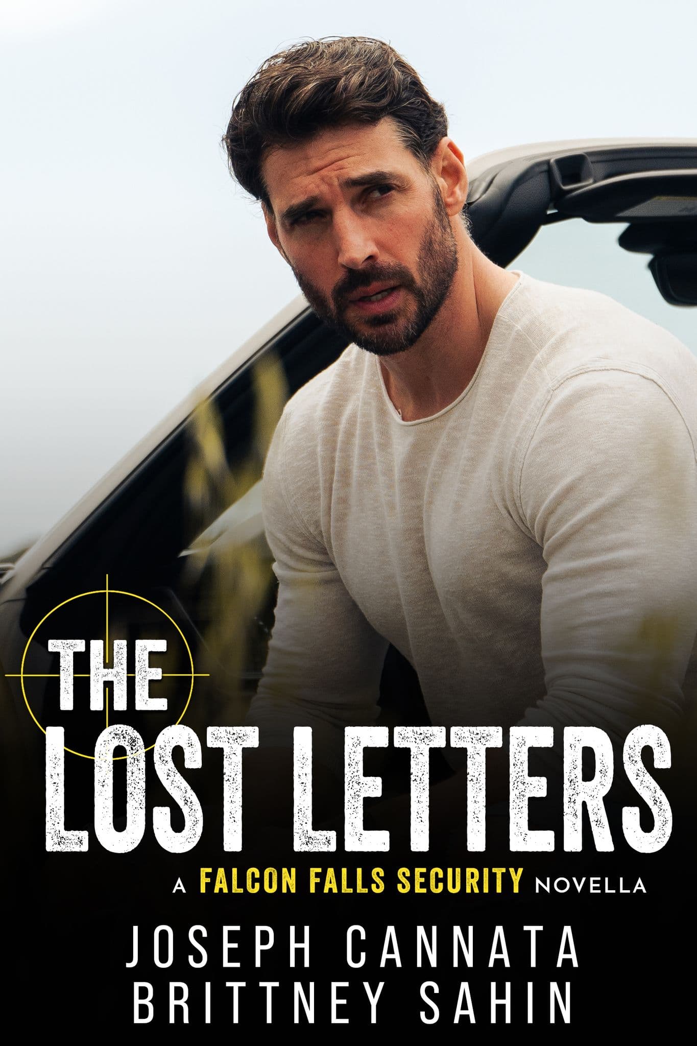 The Lost Letters book cover